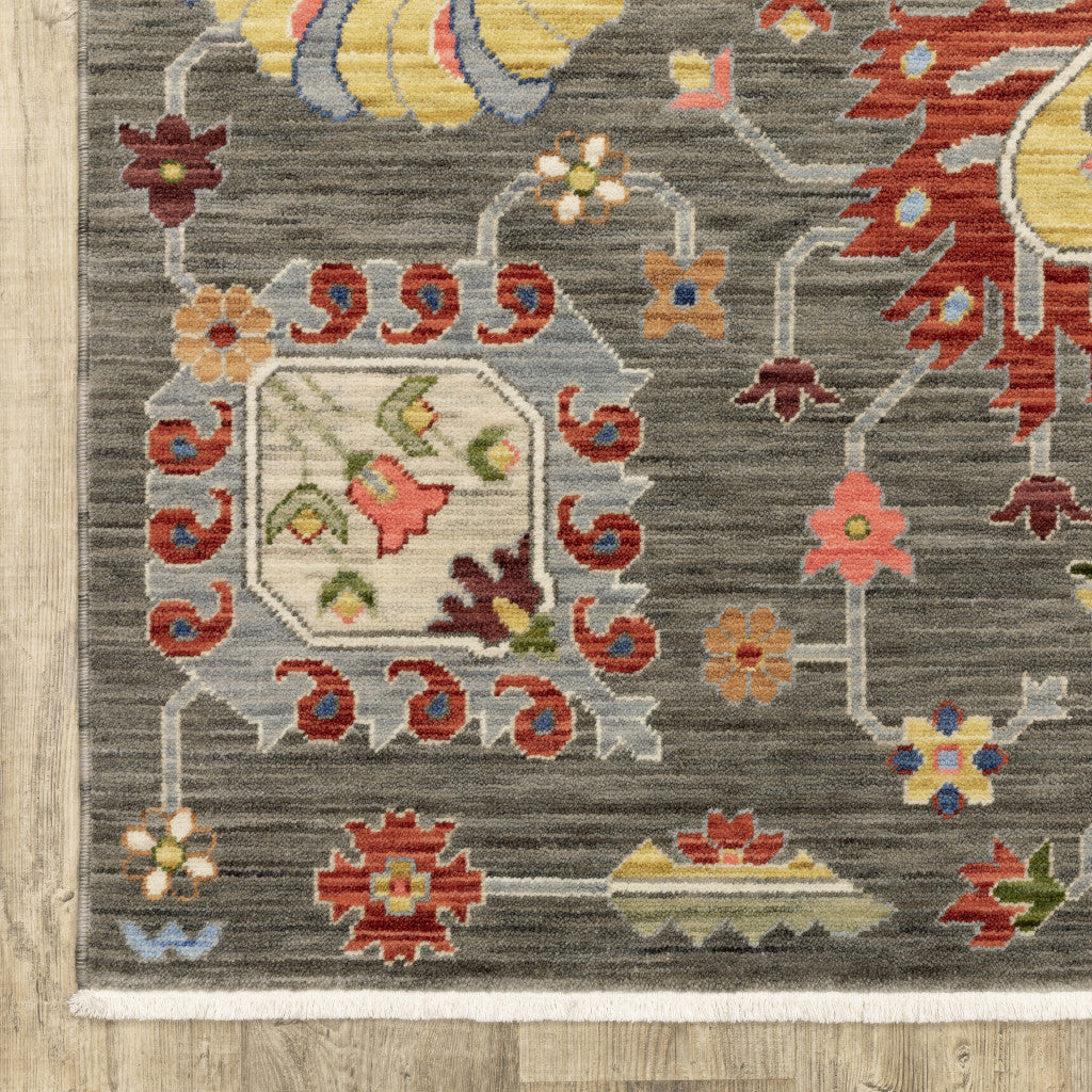 Fringe-Trimmed Stain-Resistant Area Rug with Elegant Oriental Pattern for Stylish Homes