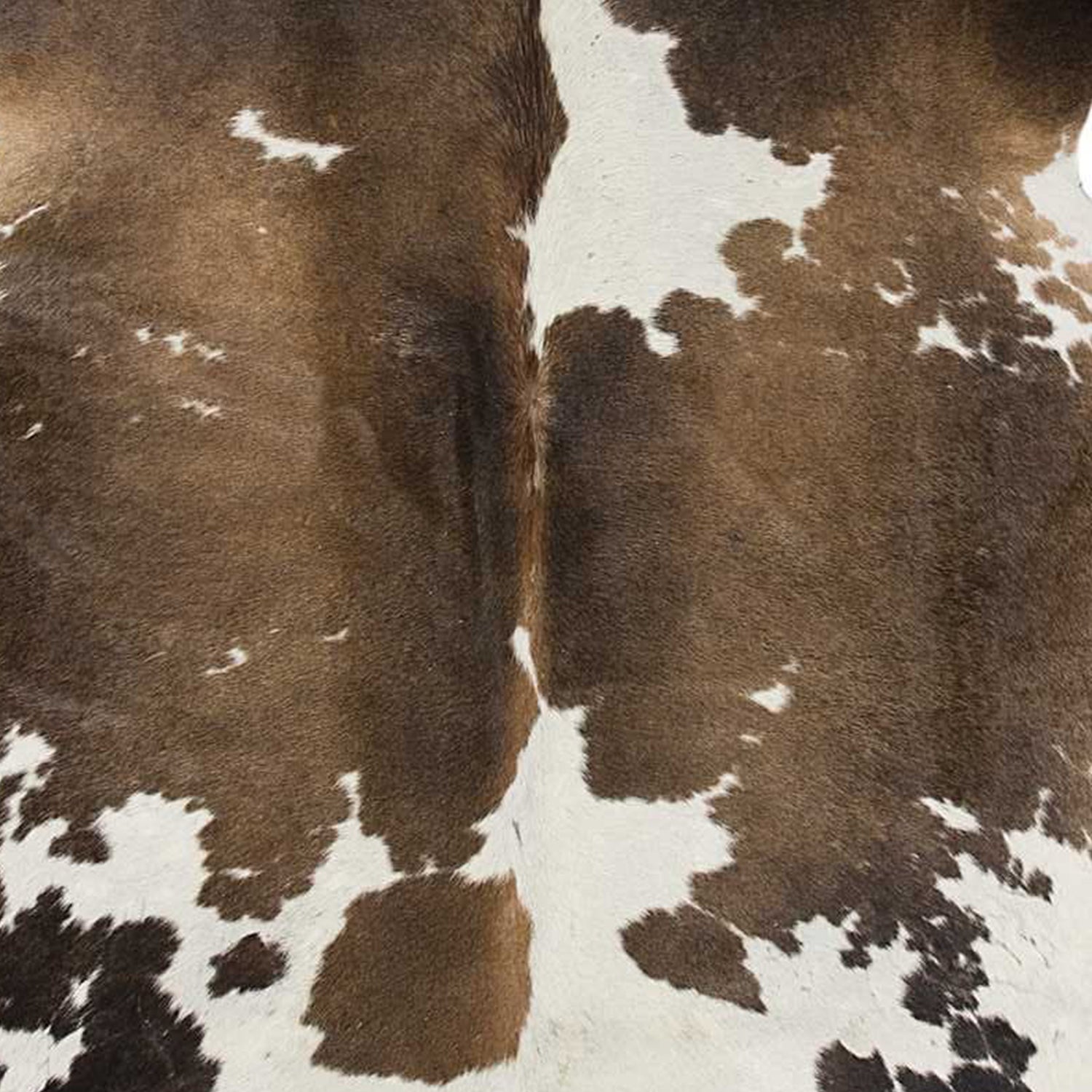 Luxurious Handmade Cowhide Area Rug with Distinctive Animal Print Design for Contemporary Living Spaces