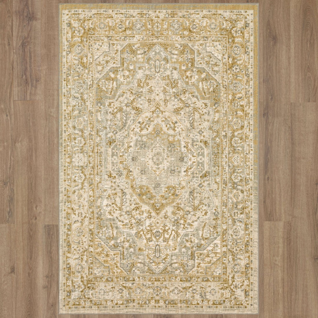 Touchstone Traditional Ornamental Area Rug with Ombre Design, Offering Stain Resistance and Luxurious Plush Comfort
