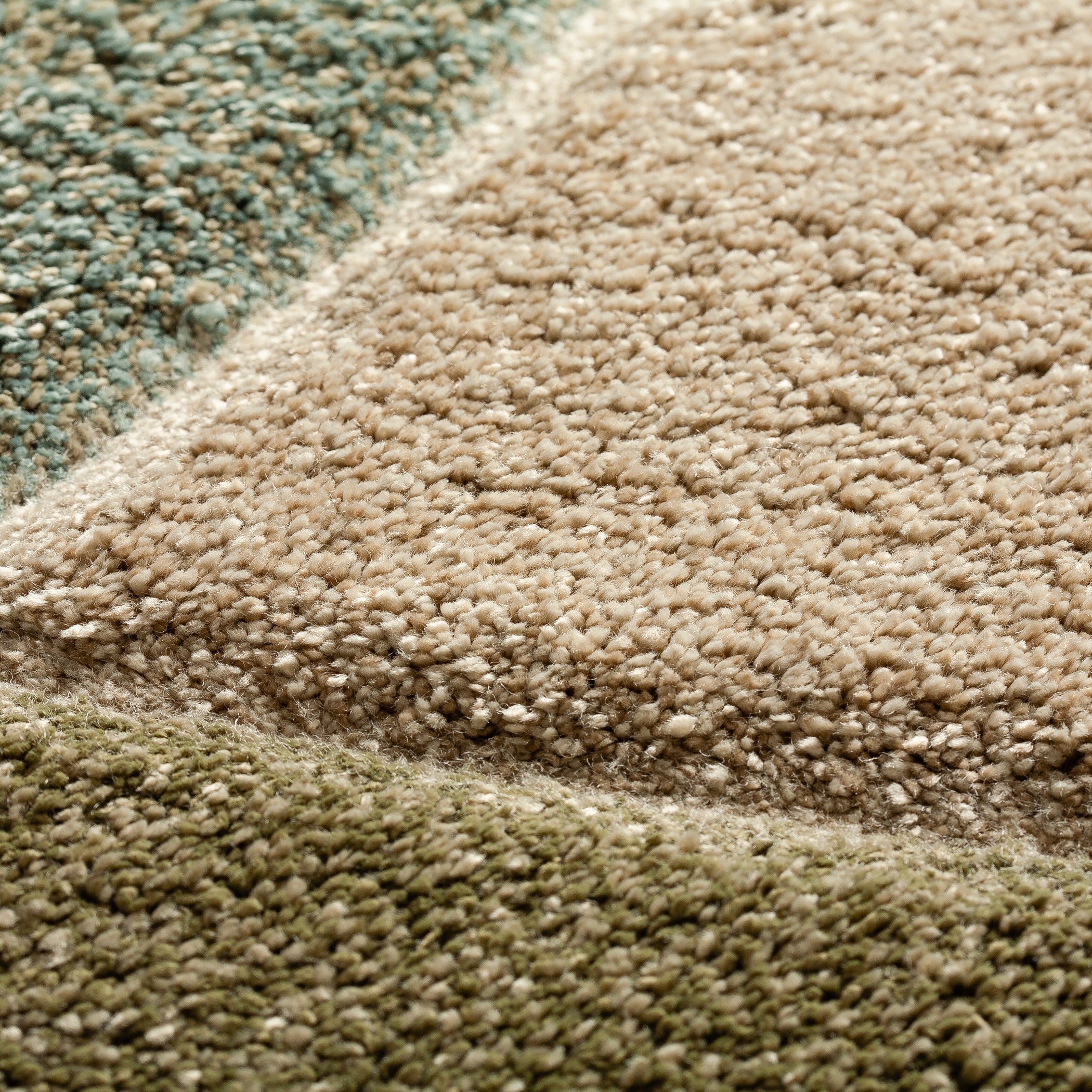 Luxurious Hand-Carved 100% Polypropylene Carmona Transitional Rug with Thick Plush Pile