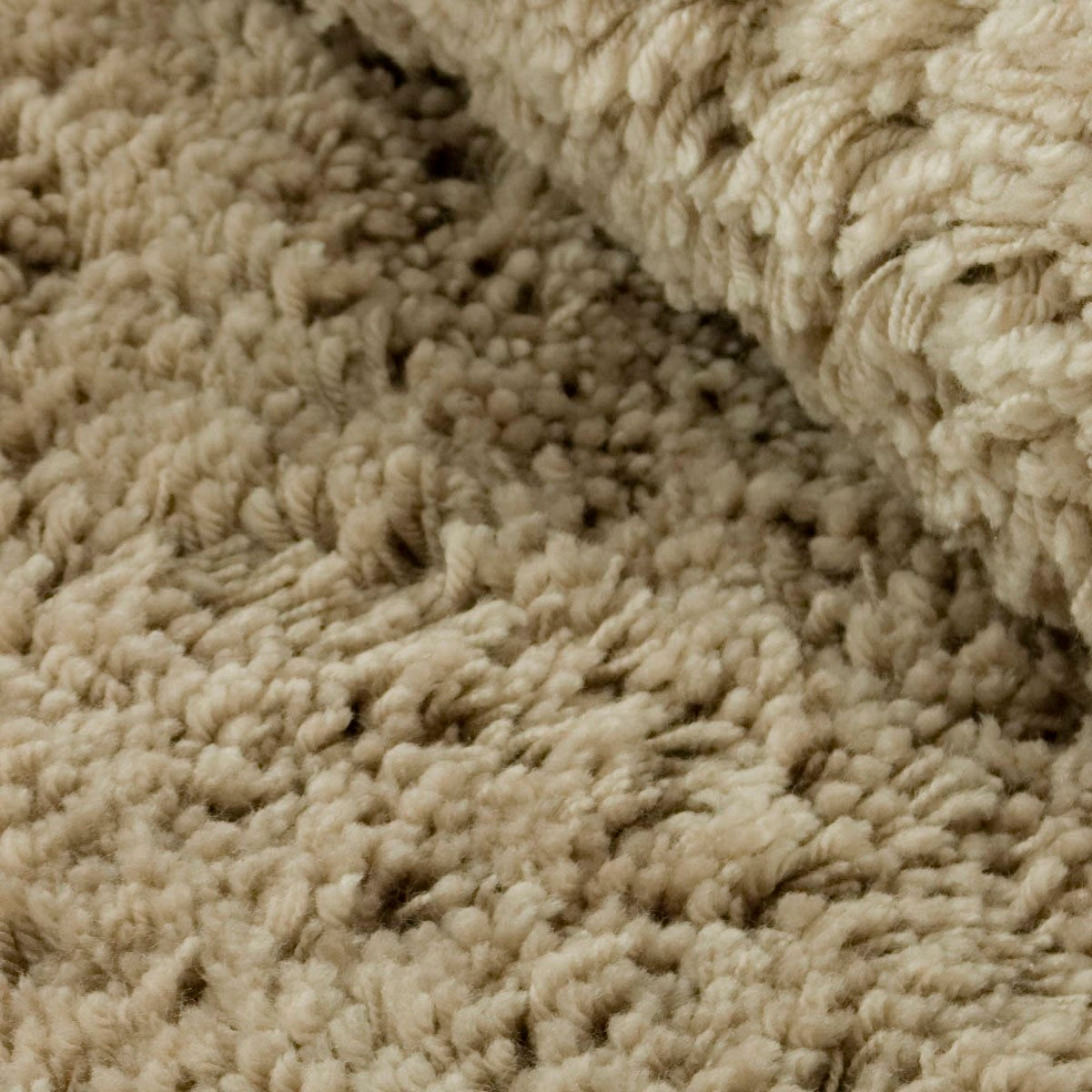 Ivory Hand - Tufted Shag Area Rug: Soft Texture for Modern Metro - Chic Homes