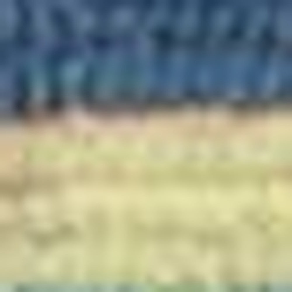 Exquisite Handmade Polypropylene Blue Striped Outdoor and Indoor Area Rug with a Stylish Rectangle Design