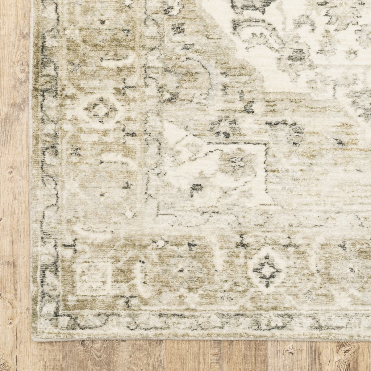 Soft Microfiber Savoy Distressed Traditional Area Rug in Muted Tones