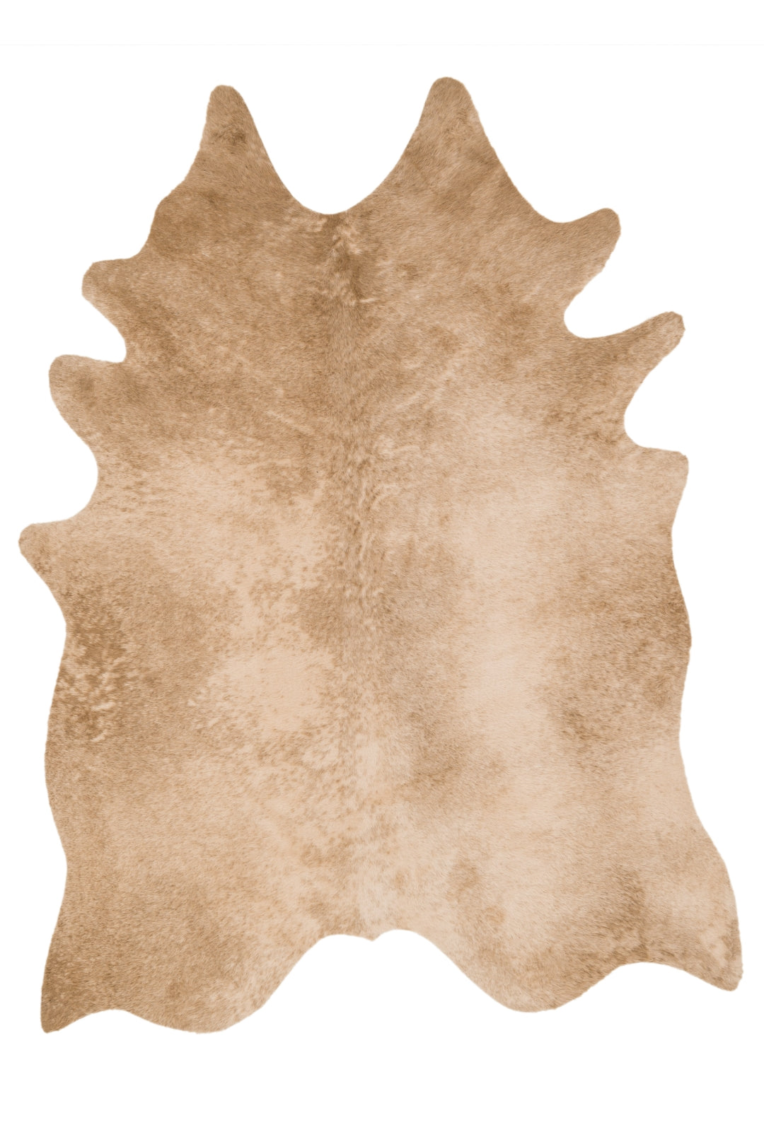 Exquisite Grand Canyon-Style Contemporary Power Loomed Rug for Captivating Cabin Ambiance in Modern Living Spaces