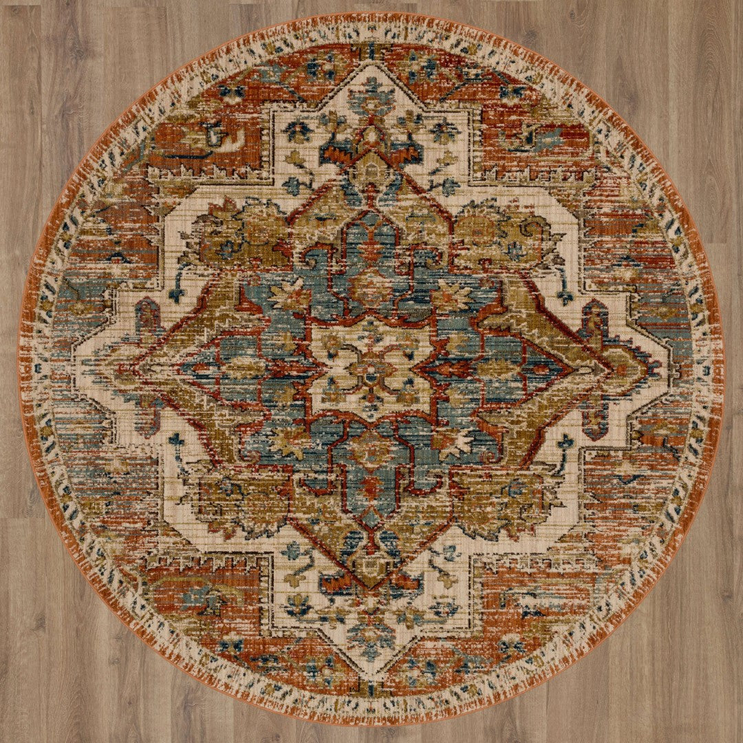 Sustainable and Stylish Elements Vintage Persian-Inspired Area Rug, Easy to Care